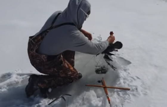 【衝撃動画】氷上で穴釣りをしていたら、ありえないものが釣れてしまって超びっくり！！