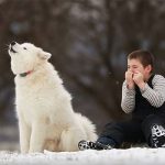 ハーモニカを演奏する少年と、そこに駆け寄ってきた犬との奇跡のセッションに感動!!