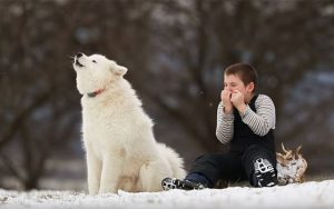 ハーモニカを演奏する少年と、そこに駆け寄ってきた犬との奇跡のセッションに感動！！