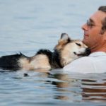 『動物を飼うということ、それは...』ある男性と老犬の話に超感動!!