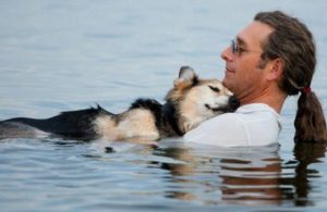 『動物を飼うということ、それは...』ある男性と老犬の話に超感動！！