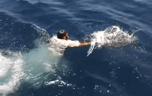 海に浮かんでいたゴミを見て、漁師が海に飛びこんだ！！！そのゴミの正体に深く考えさせられる...