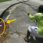 【衝撃映像】男性が下水道に釣り糸を垂らした瞬間になんと...