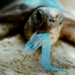 『海に捨てられたごみはどのくらいの時間で分解されるのか』をまとめたデータに驚愕・・・