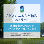 「ANAのふるさと納税」をANA VISAワイドゴールドで支払うと還元率2%って本当?!返礼品ランキング同時公開!!