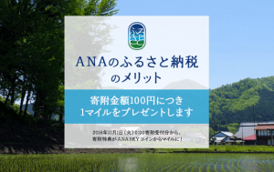 「ANAのふるさと納税」をANA VISAワイドゴールドで支払うと還元率２%って本当？！返礼品ランキング同時公開！！