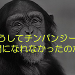 夏休み子ども科学電話相談に寄せられた「どうしてチンパンジーには人間にならなかったのか」に対する先生の答えが逸材すぎる!!