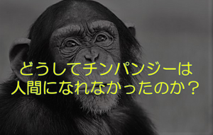 夏休み子ども科学電話相談に寄せられた「どうしてチンパンジーには人間にならなかったのか」に対する先生の答えが逸材すぎる！！
