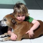 「なぜ愛する動物たちは、僕たちよりもずっと早く死んでしまうの?」この質問に6才児が出した回答に心打たれる...