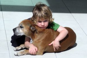 「なぜ愛する動物たちは、僕たちよりもずっと早く死んでしまうの？」この質問に６才児が出した回答に心打たれる...