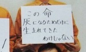 『この命　灰になるためだけに生まれてきたわけじゃない』保健所の方々からのメッセージに涙が溢れる...