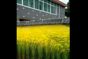 凄すぎて何回見ても意味が分からない風景の動画がネットで話題に！！