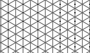 左側も右側も黒い点は同じ数なのに認識できない画像が不思議すぎる！！