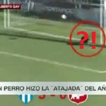 【衝撃映像】ガラ空きのゴールに放たれたシュートを防いだ救世主はなんと...