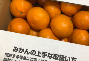 「みかんの上手な取扱い方」の説明に超納得！！とネットで話題に！！
