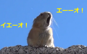 『エーーーーオ！』ネズミさんがQueenの歌を大熱唱で大爆笑♪♪