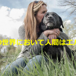 犬の気持ちになって人間について書いた「犬の世界において人間はエルフ」という詩に超感動!!