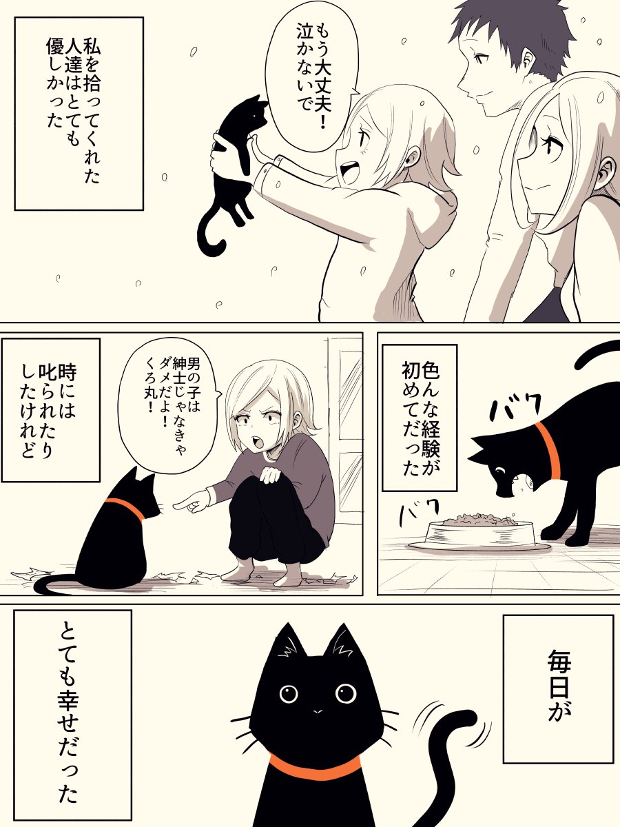 黒猫の生涯 を描いた漫画のラストシーンに涙が止まらない