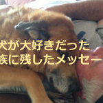 天国へ旅立った愛犬が、大好きだった家族に残した「あるメッセージ」に超感動!!