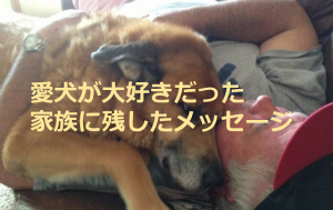 天国へ旅立った愛犬が、大好きだった家族に残した「あるメッセージ」に超感動！！