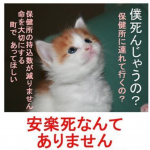 「安楽死なんてありません」ポスターの内容に涙が止まらない…