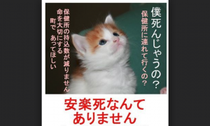 「安楽死なんてありません」ポスターの内容に涙が止まらない…