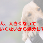 保健所に飼っている犬が大きくなった理由で処分を依頼した飼い主が...