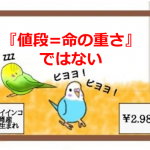 ペットを飼うときの『値段=命の重さ』ではないという考え方に超共感!!