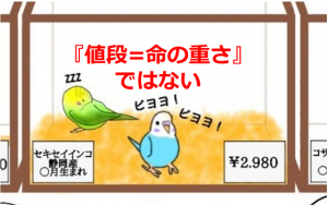 ペットを飼うときの『値段=命の重さ』ではないという考え方に超共感！！