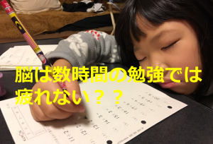 脳は数時間の勉強では疲れない？？東大の脳科学教授に聞いた話が超ためになる！！