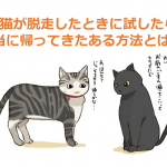 【驚愕の猫ネットワーク】愛猫が家から脱走したときに試したら本当に帰ってきた”ある方法”とは...