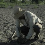 砂漠に37年間毎日通い、一人で植林活動を続けた男性の物語に超感動！！