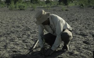 砂漠に37年間毎日通い、一人で植林活動を続けた男性の物語に超感動！！