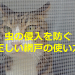 YKK APが教える『虫の侵入を防ぐ正しい網戸の使い方』とは...