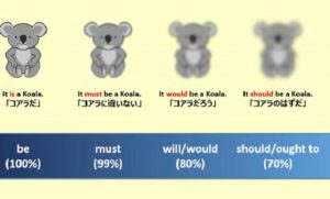 ”コアラを使った英語の説明”がわかりやすいとネットで話題に！！