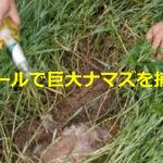 小さな穴にビールを注いで、巨大ナマズを次々に捕獲してしまう動画が凄すぎる!!
