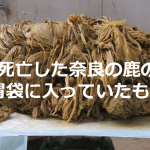 死亡した奈良の鹿の胃袋に入っていたものに心痛める...