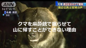 住宅街に出没したクマを麻酔銃で眠らせて山に帰すことができない理由とは...