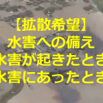 【拡散希望】誰もが知っておきべき”水害への備え・水害が起きたとき・水害にあったとき”