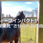 なぜ、競走馬”ディープインパクト”は骨折しただけで”安楽死”させられたのか...
