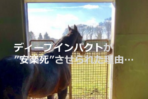 なぜ、競走馬”ディープインパクト”は骨折しただけで”安楽死”させられたのか...