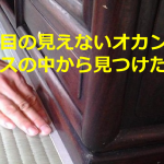 左目の見えないオカンのタンスの中から見つけた日記に涙が溢れる...