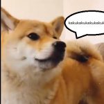 納豆を食べて震え出した柴犬を動物病院に連れて行ったときに獣医が放った衝撃の一言とは!!