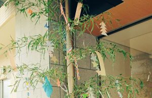 七夕の短冊に込めた何10年も入院していて、この先も退院できそうにない統合失調症の人の願いに心打たれる...