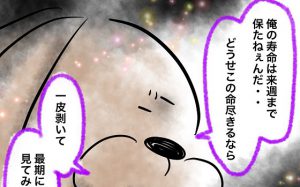 季節外れのセミを描いた漫画”早すぎる蝉”に涙がこぼれる...