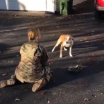 5年ぶりの再会で飼い主かわからない犬の行動が可愛すぎるw