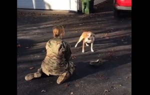 5年ぶりの再会で飼い主かわからない犬の行動が可愛すぎるw