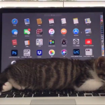 パソコンの上で気持ちよさそうに寝ている猫の動画に超癒される!!