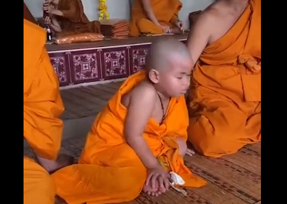 幼い僧侶が睡魔と戦う動画が可愛すぎるｗｗ