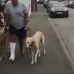 ワンちゃんが異常もないのに足を引きずりながら飼い主と一緒に歩く動画に超感動!!